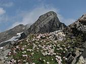 Ascensione al Pizzo del Diavolo di Tenda il 1 agosto 2009  - FOTOGALLERY